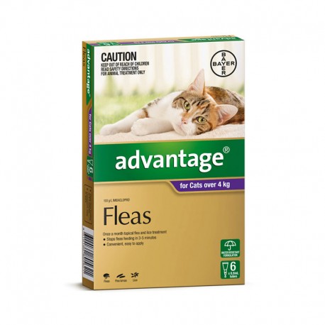 http://www.petdirect.com.au/3400-large_default/advantage-flea-treatment-cats-4kg-6-pack-purple.jpg